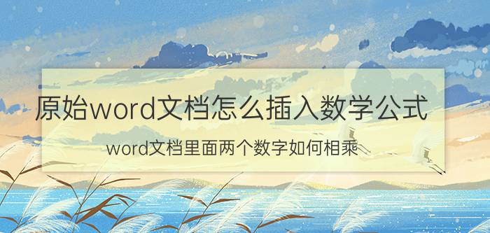 原始word文档怎么插入数学公式 word文档里面两个数字如何相乘？